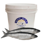 Bucket Herring
